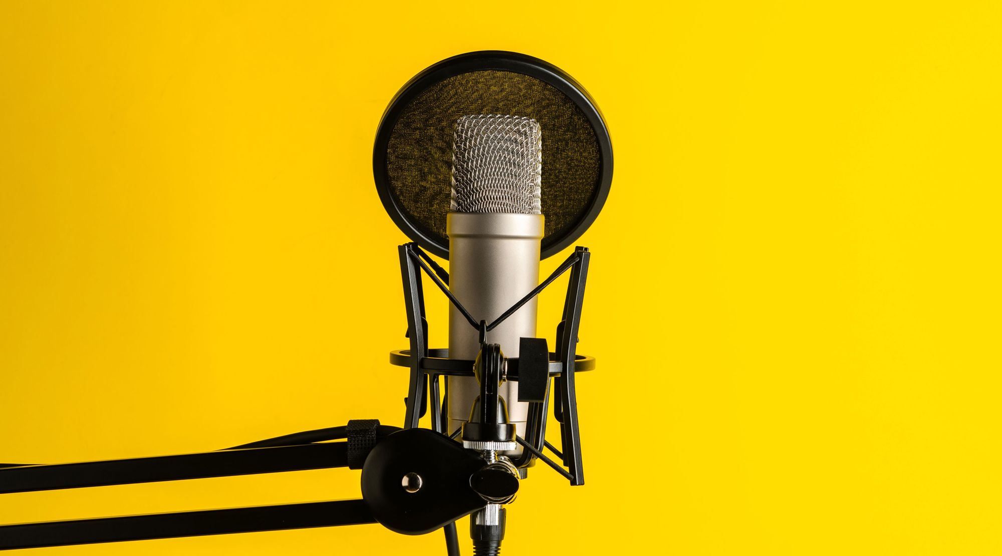 Harnessing the Power of AI Voiceover in eLearning Projects