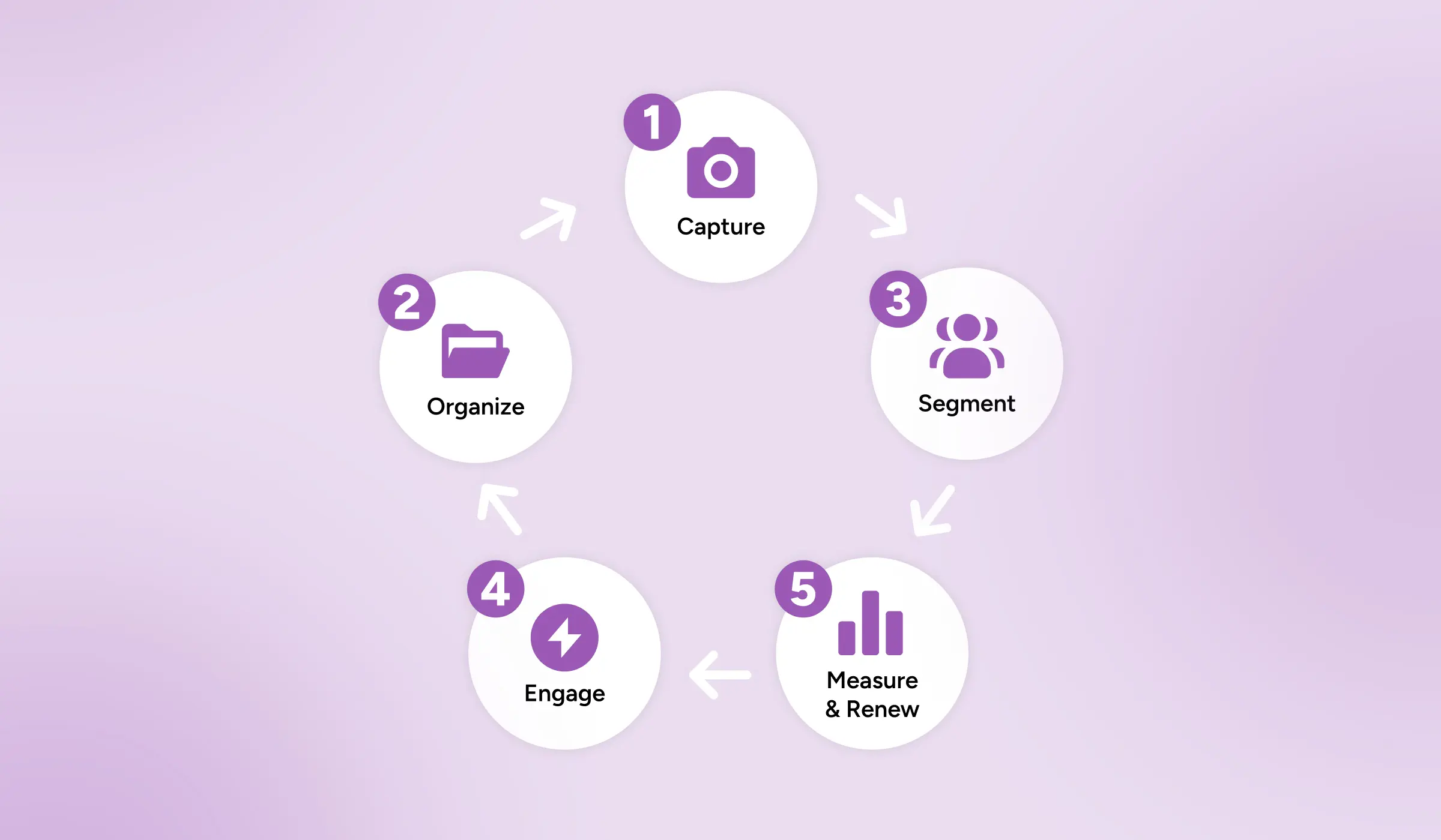 What Is Donor Management? Definition, Software & How It Works 