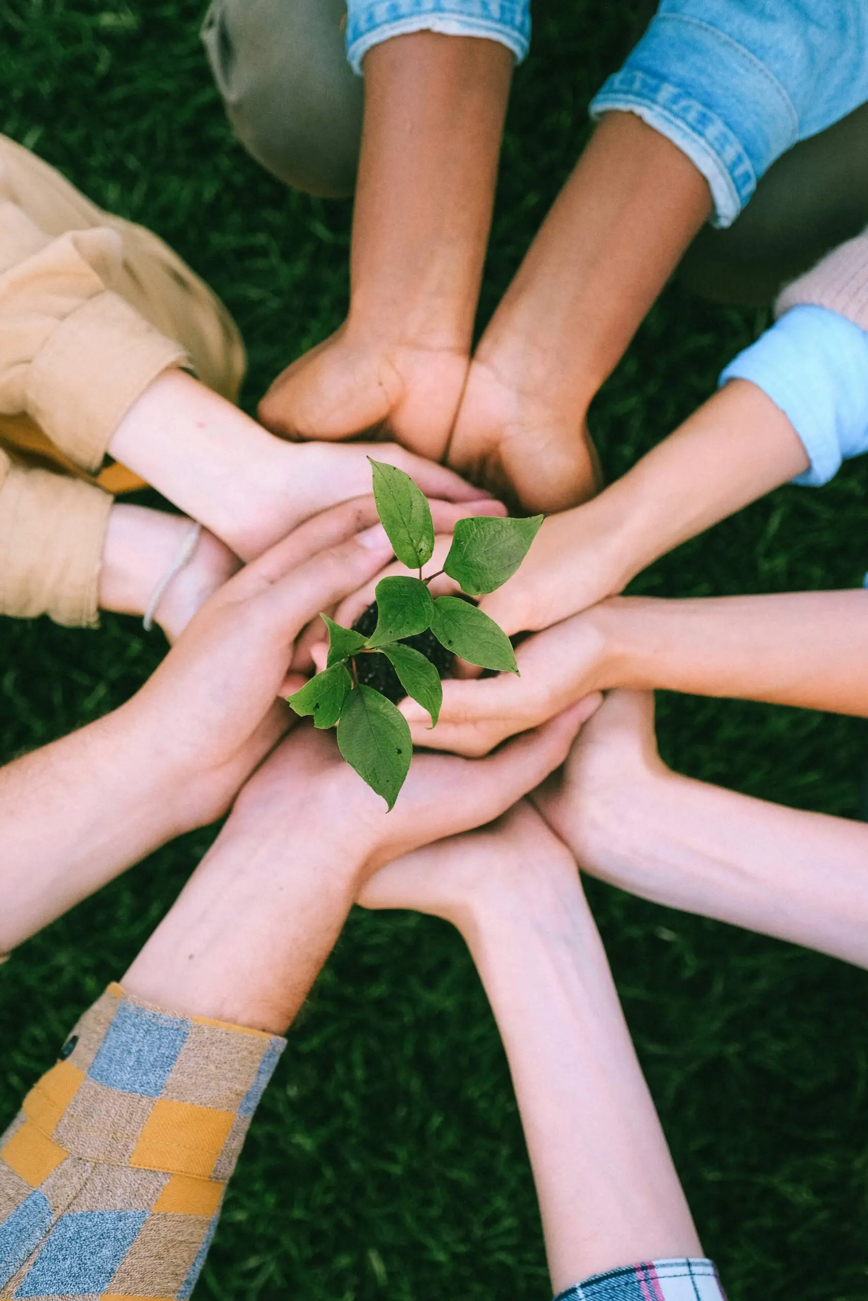 How a Pro Bono Project Sparked the Creation of VolunteerMatters
