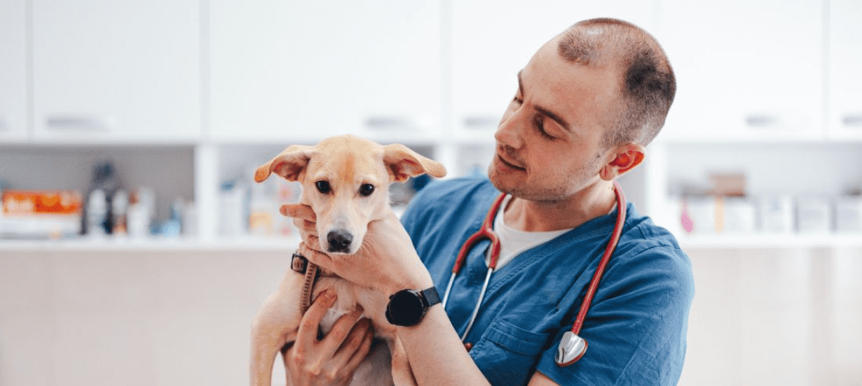 Alberta Veterinary Medical Association (ABVMA): Nimble AMS Success Story