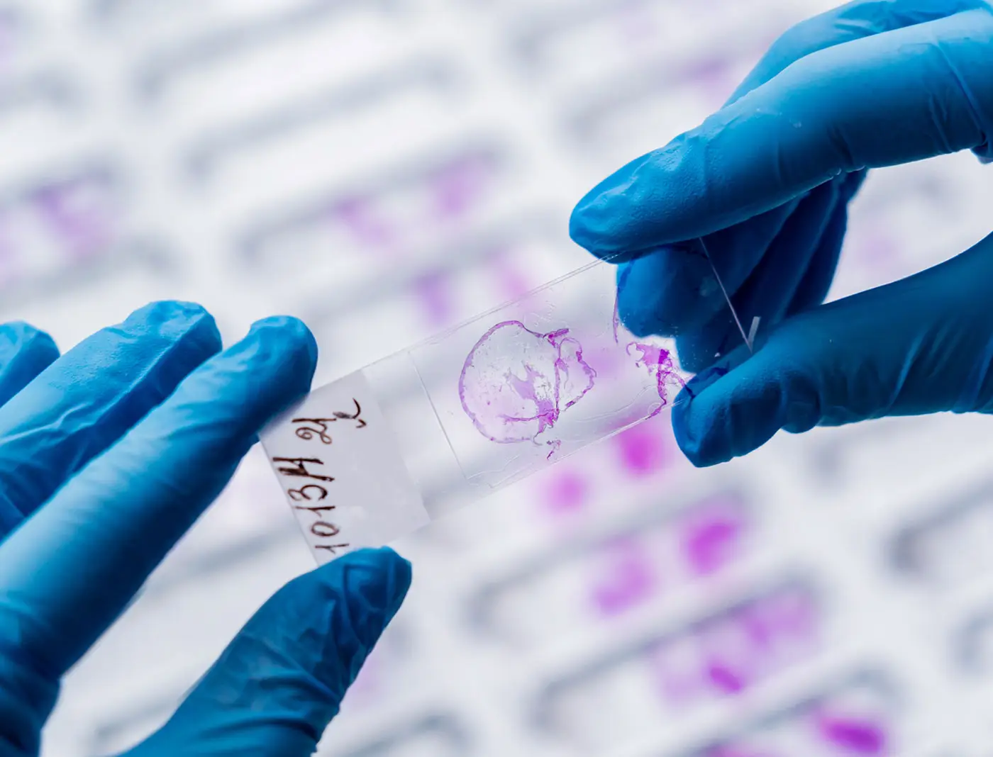 BlueSky eLearn USCAP Case Study